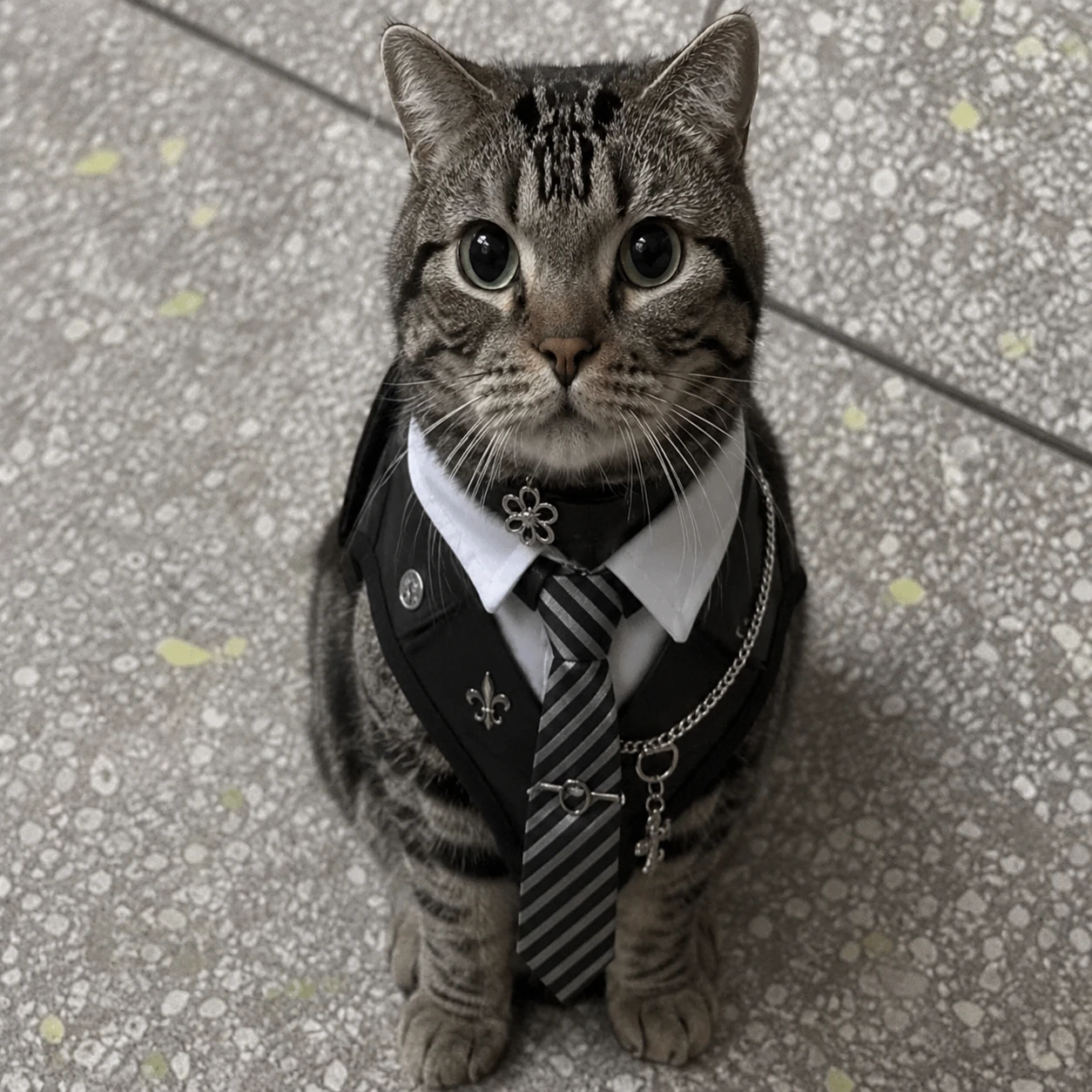 Tie cat detail